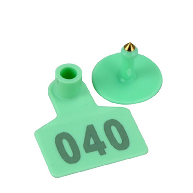 0-bea360.jpeg 0-bea360.jpeg