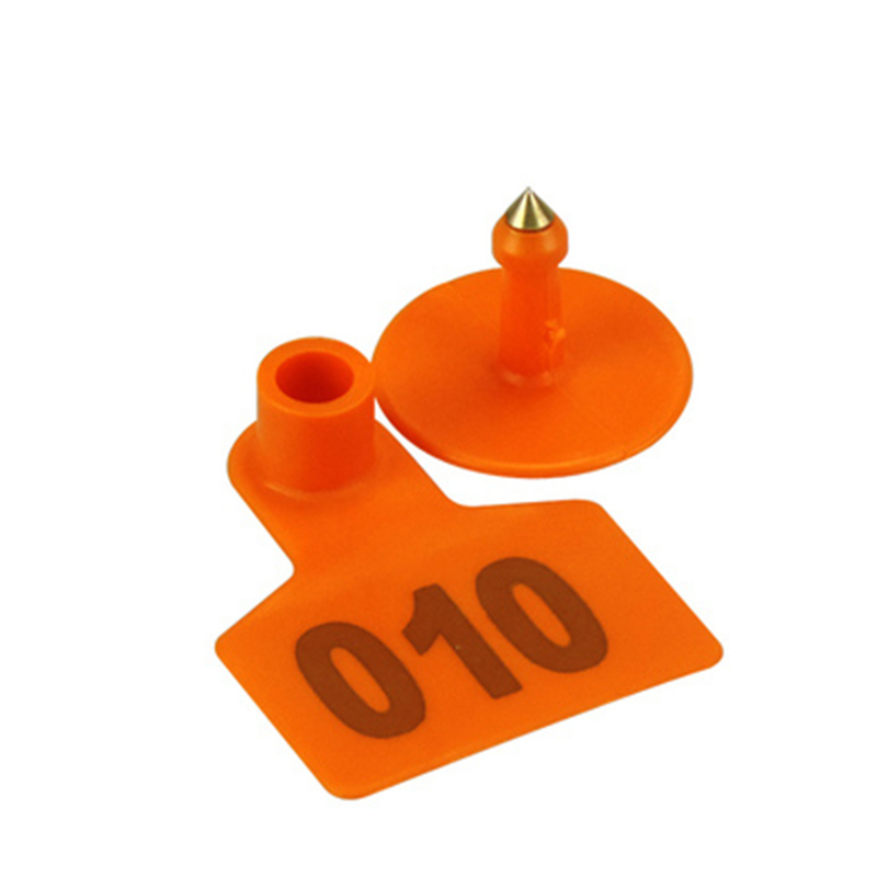 0-e2bdc3.jpeg 0-e2bdc3.jpeg