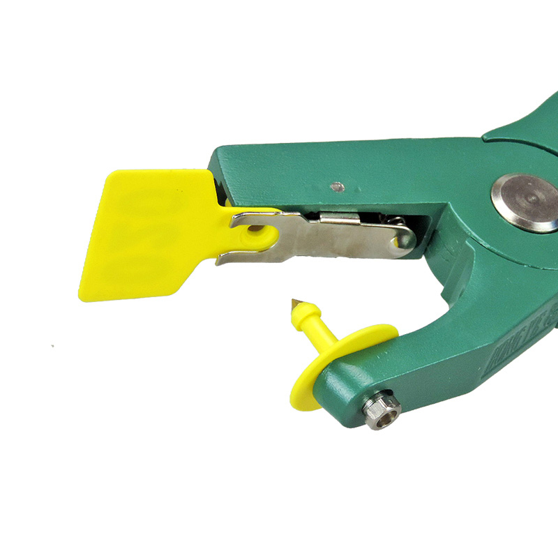 0-e54ffb.jpeg 0-e54ffb.jpeg