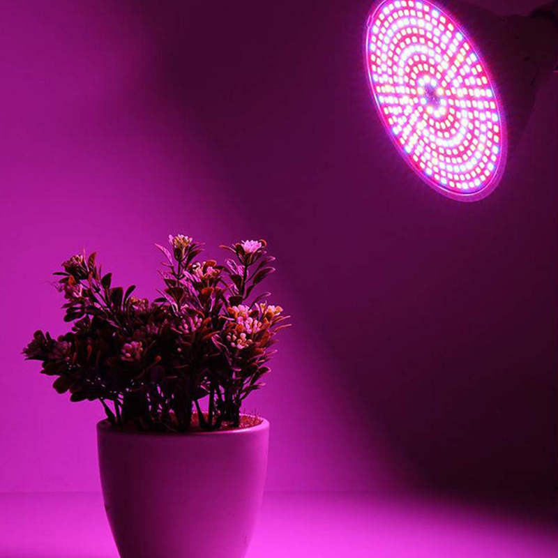 Full Spectrum Plant Grow Light Bulb for Hydroponics Full Spectrum Plant Grow Light Bulb for Hydroponics