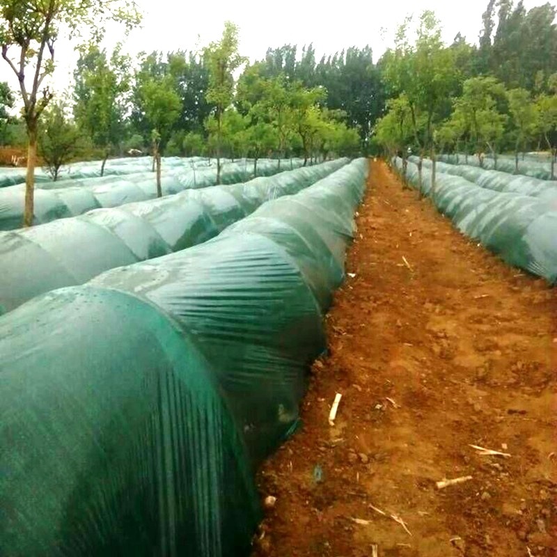 Láminas de protección de película de invernadero