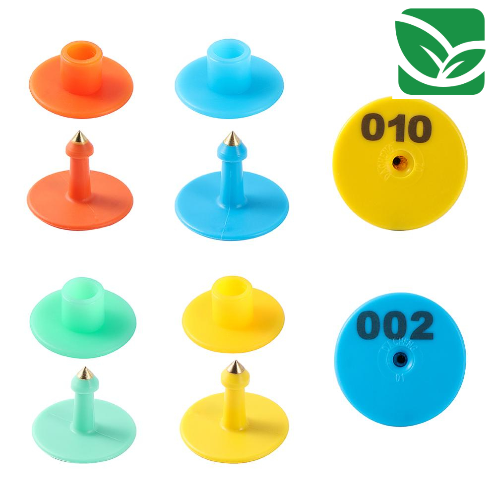 0-09c98b.jpeg 0-09c98b.jpeg