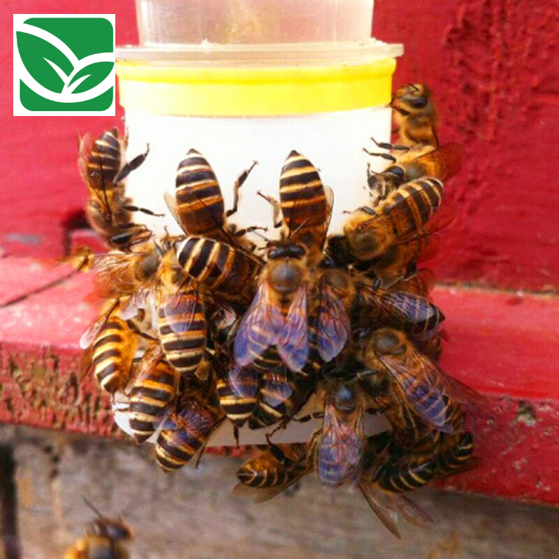 0-0e55a5.jpeg 0-0e55a5.jpeg