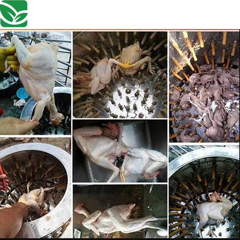 0-4f0e4c.jpeg 0-4f0e4c.jpeg