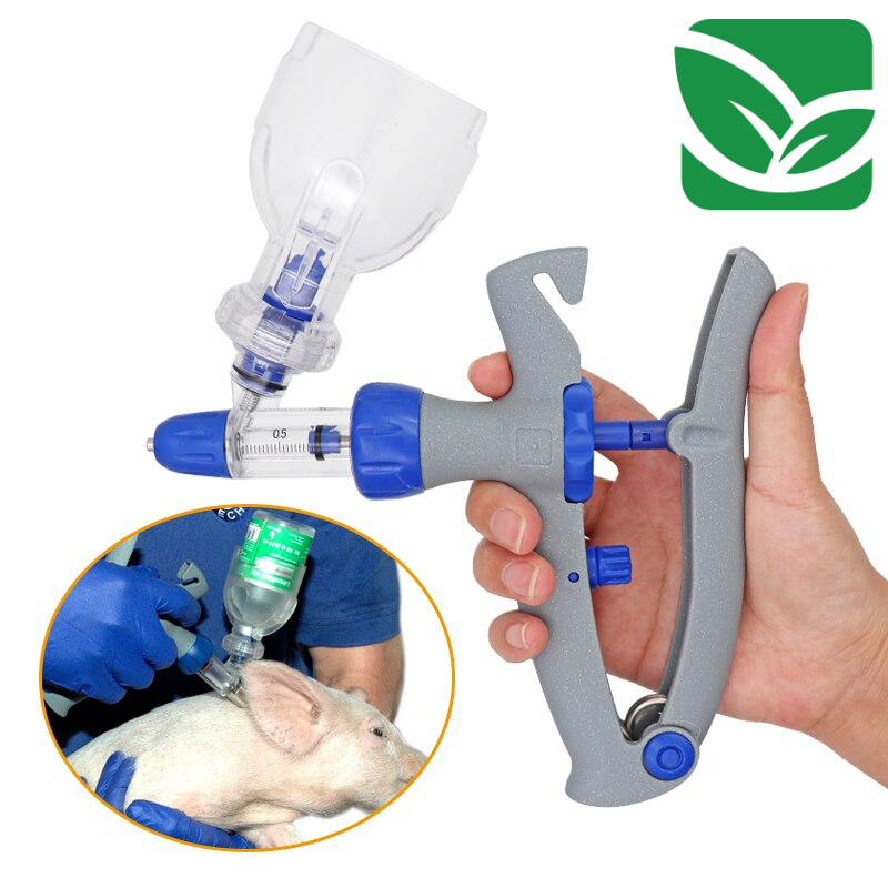 0-66c99a.jpeg 0-66c99a.jpeg