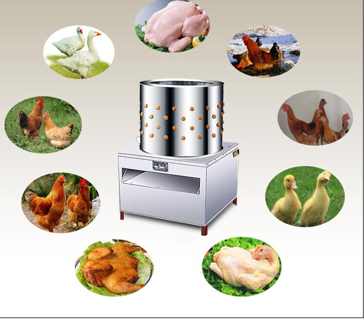 0-94e0f3.jpeg 0-94e0f3.jpeg