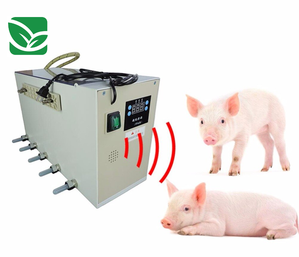 0-c72b06.jpeg 0-c72b06.jpeg