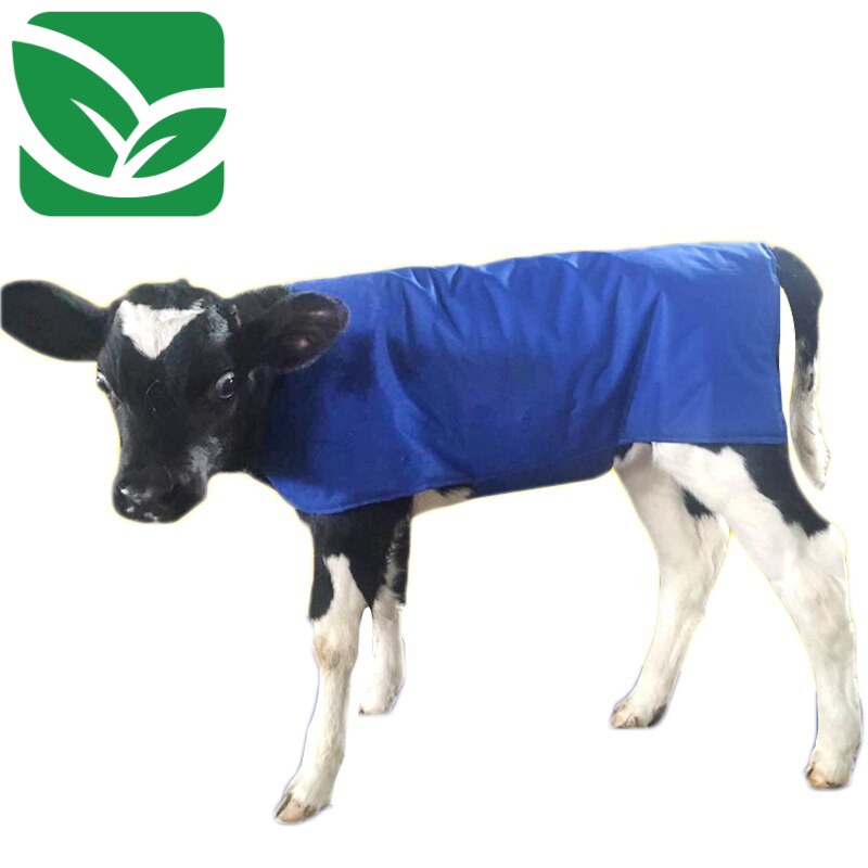 0-d14405.jpeg 0-d14405.jpeg