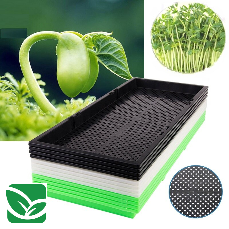 0-549b5d.jpeg 0-549b5d.jpeg