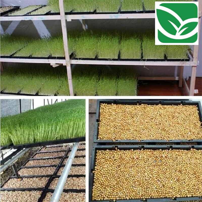 0-63f266.jpeg 0-63f266.jpeg