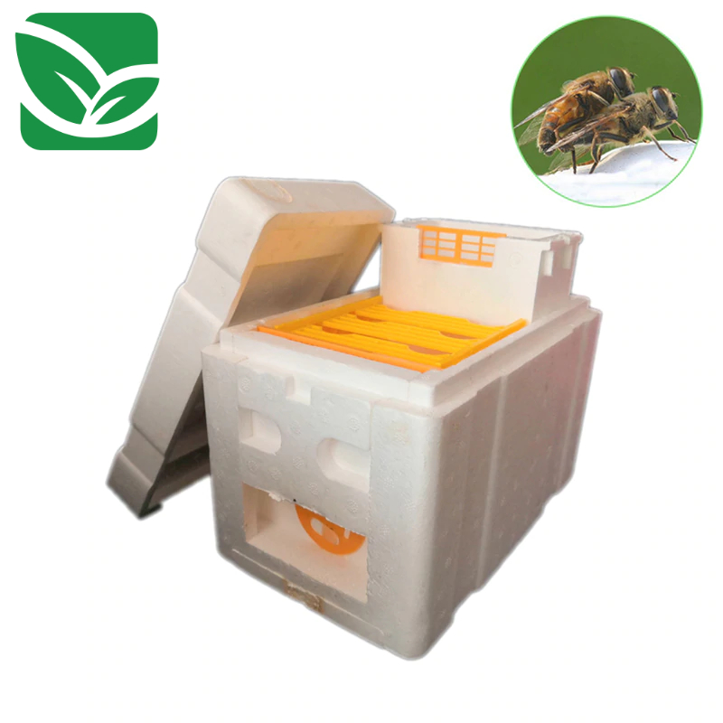 0-9762fd.jpeg 0-9762fd.jpeg