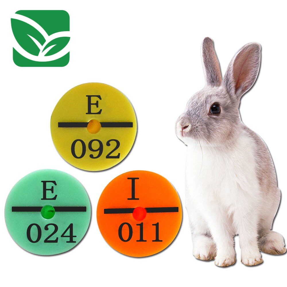 0-d30c05.jpeg 0-d30c05.jpeg