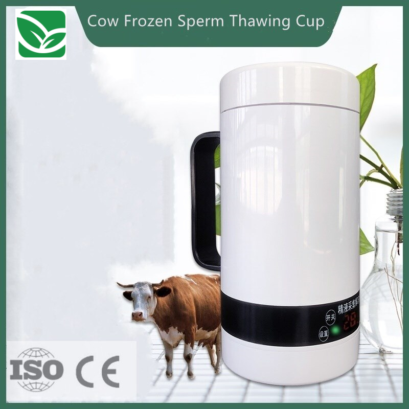 0-7c622d.jpeg 0-7c622d.jpeg